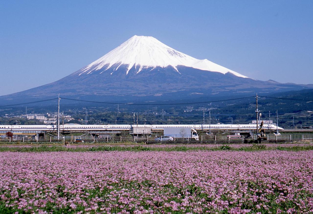 Business Hotel Sunpu Shizuoka Exterior foto